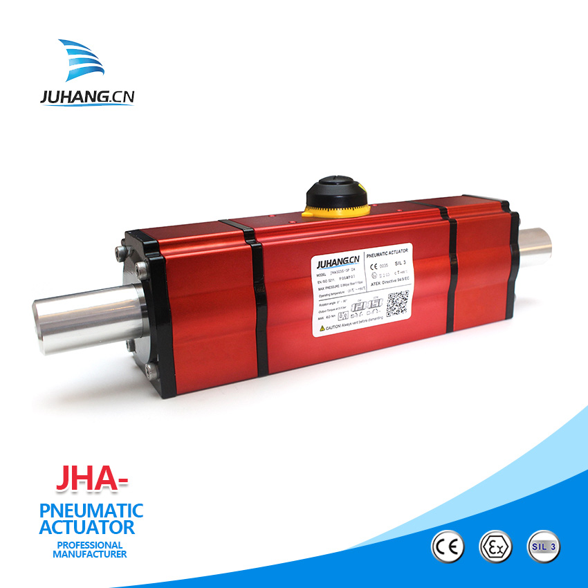 वायवीय actuator को प्रदर्शन र उपस्थिति (2)